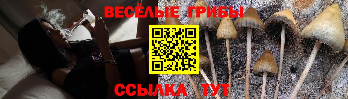 Галлюциногенные грибы мухоморы  Вход с VPN  Волгодонск  где можно купить   Галлюциногенные грибы мицелий 