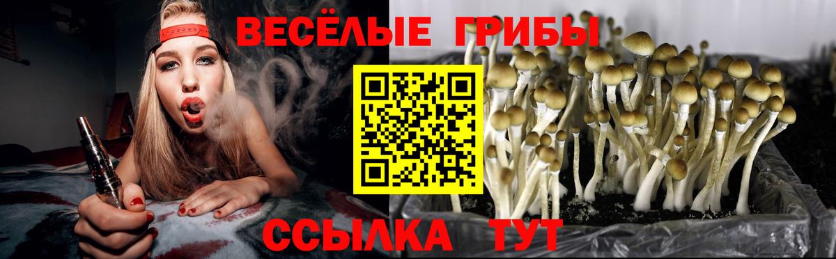 Галлюциногенные грибы мицелий Волгодонск